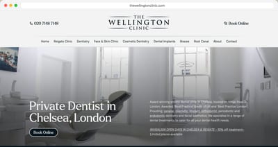 The The Wellington Clinic homepage