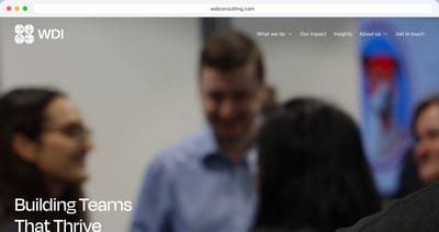 The WDI Consulting homepage